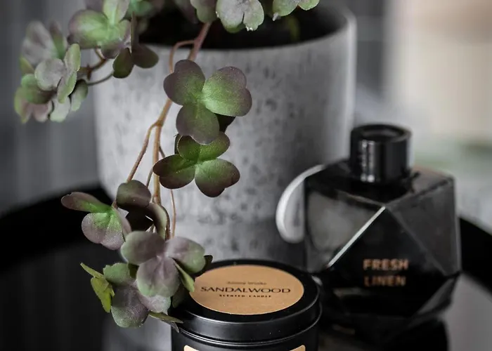 Panorama Seaview Deluxe *